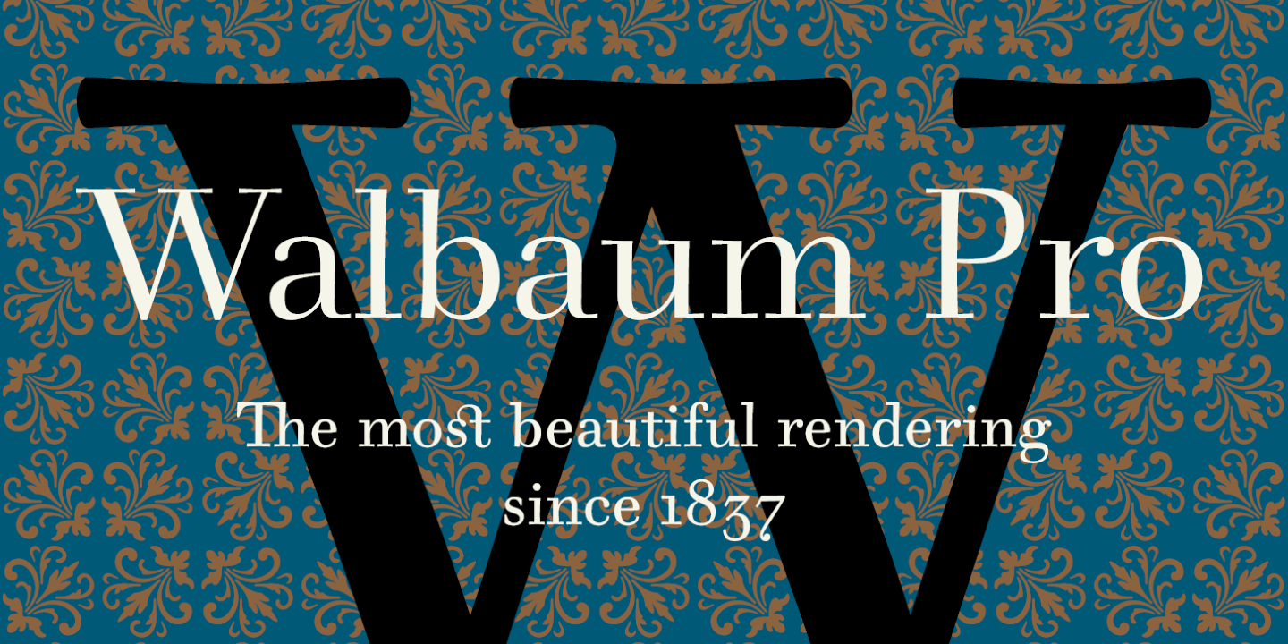 Пример шрифта Walbaum 2010 Pro #1